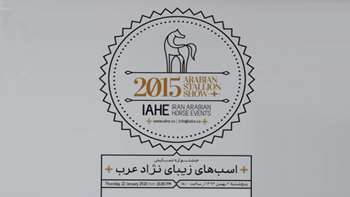 Arabian Stallion Show, February 2015 